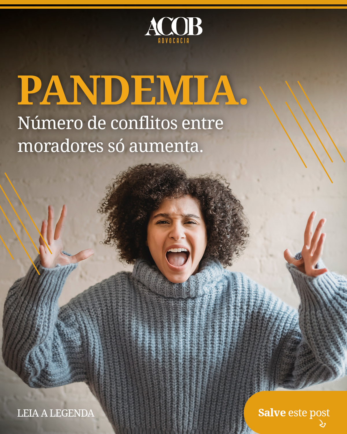 Area Noticias