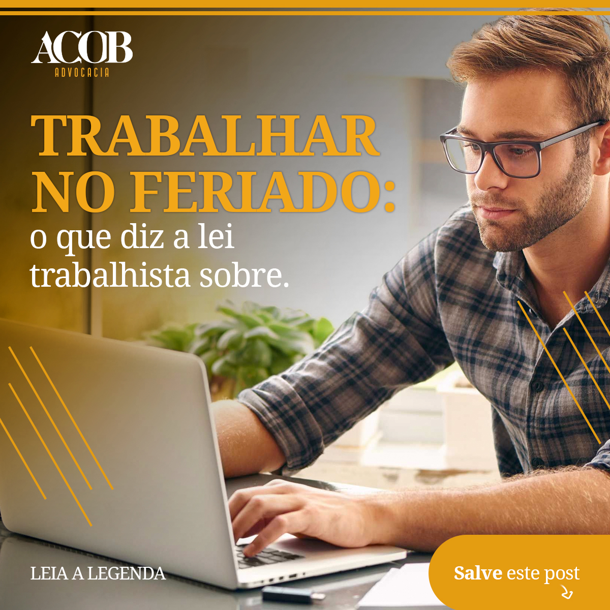 Area Noticias