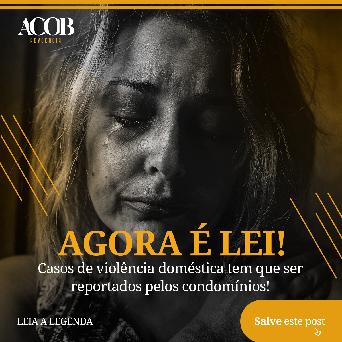 Area Noticias